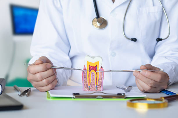 Best Weekend Emergency Dental Services in Bath, MI